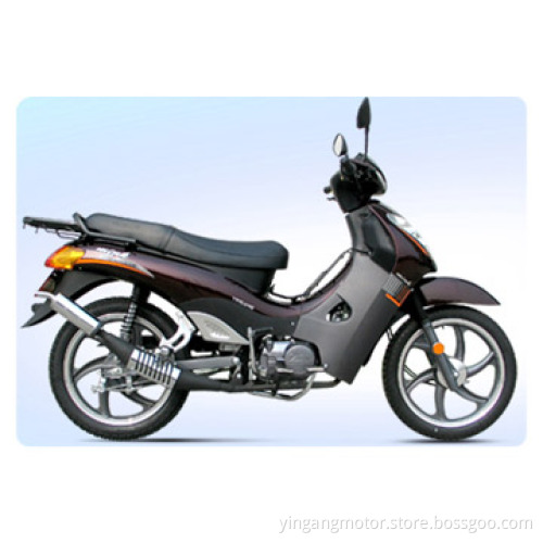CUB Motorcycle (YG125-13)